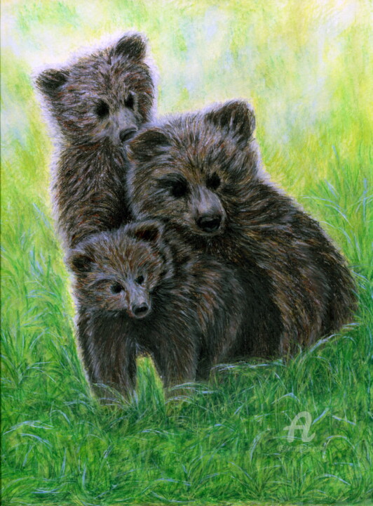 Dessin intitulée "Sunny Bears in the…" par Larisa Berzina, Œuvre d'art originale, Crayon