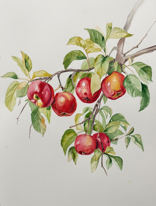 Painting titled "Fragrant apples" by Larisa Robins, Original Artwork, Watercolor