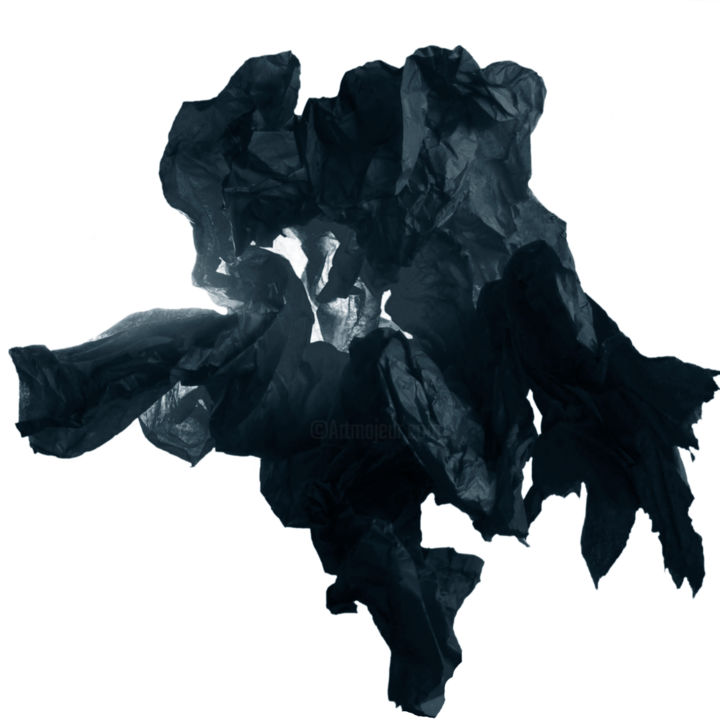 「Black paper rose」というタイトルの写真撮影 Larisa Siverinaによって, オリジナルのアートワーク, 操作されていない写真