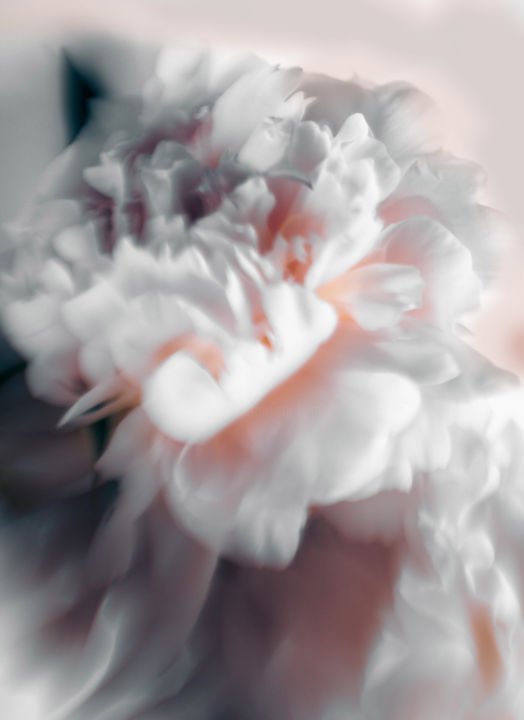Photography titled "Peony bouquet" by Larisa Siverina, Original Artwork, Manipulated Photography