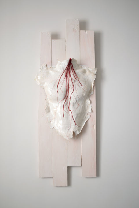 Γλυπτική με τίτλο "Torse veinal" από Benjamin Larroche, Αυθεντικά έργα τέχνης, Ξύλο Τοποθετήθηκε στο Ξύλινο πάνελ