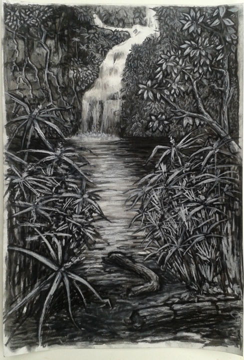 Drawing titled "Bassin Cormoran" by Jean-François Hirsch, Original Artwork, Charcoal