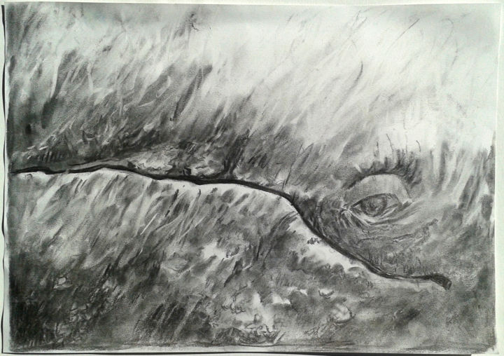 图画 标题为“regard de baleine 2” 由Jean-François Hirsch, 原创艺术品, 木炭