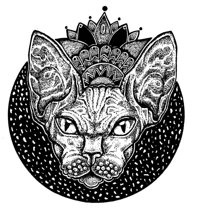 Sphynx 1 Jpeg Desenho Por Fresh Milk Artmajeur Sphynx 1 Jpeg Desenho Por Fresh Milk Artmajeur