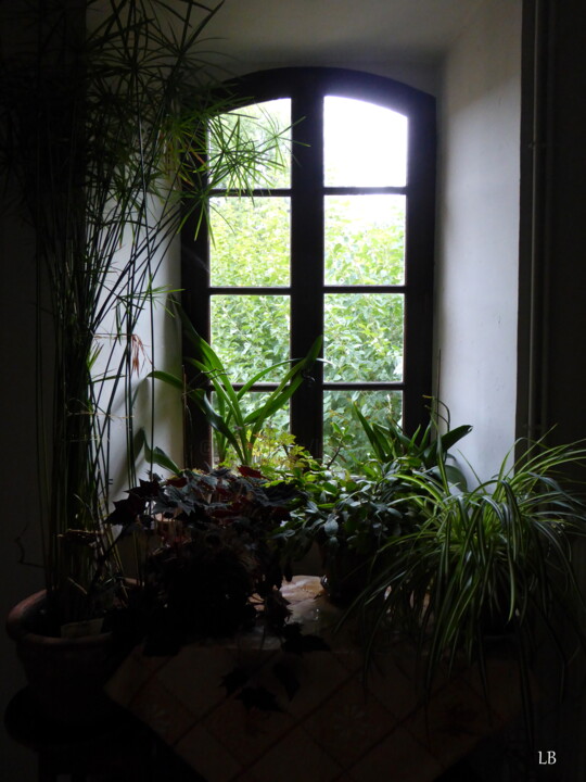 Photographie intitulée "La fenêtre verte" par Laure Barlet, Œuvre d'art originale