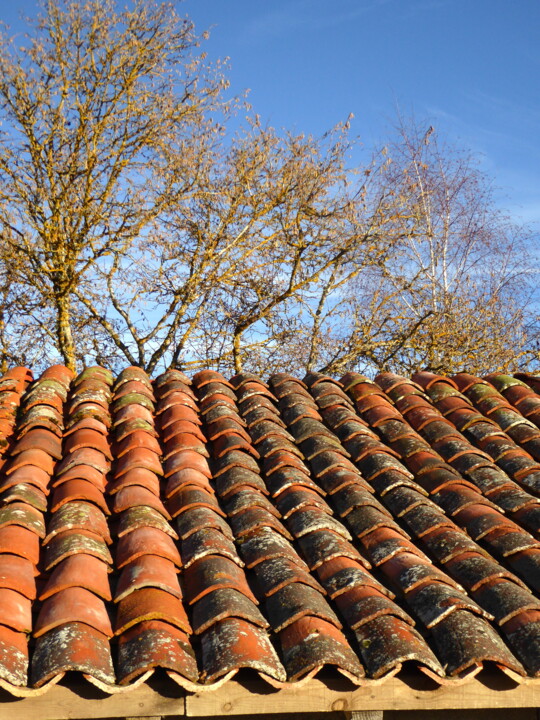 Photographie intitulée "Le petit toit!" par Laure Barlet, Œuvre d'art originale, Photographie numérique
