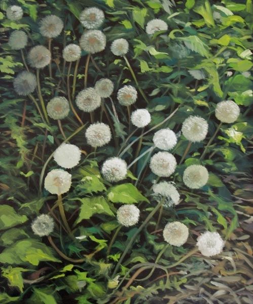 Pissenlits - Painting, 50x60 cm ©2012 by Laure Boin Watorek -
huile sur toile - oil on canvas