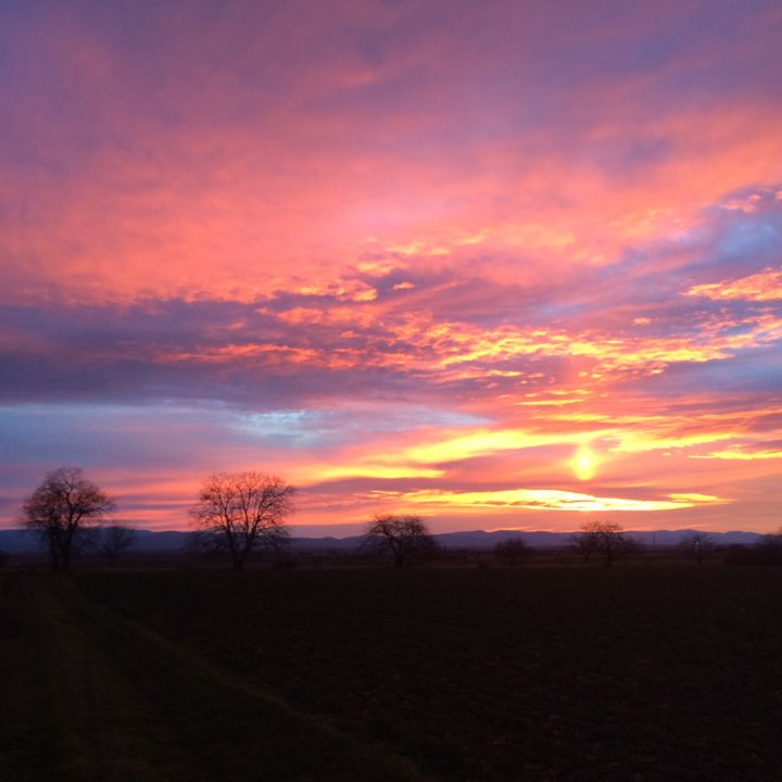 Fotografia intitolato "#Limagne #Terre #De…" da Laure Charrin, Opera d'arte originale