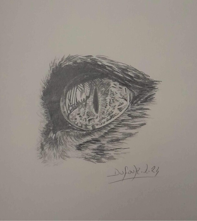 Dessin intitulée "Attentif" par Laurence Dufour, Œuvre d'art originale, Graphite