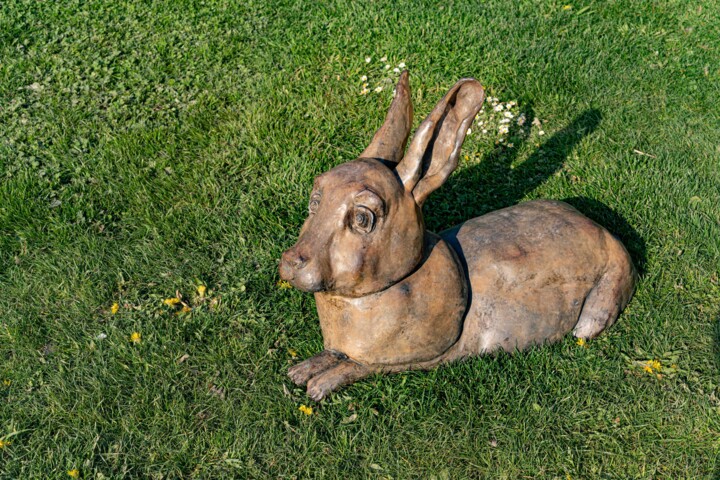 Sculpture intitulée "Le lièvre au pays d…" par Laurence Friche, Œuvre d'art originale, Bronze