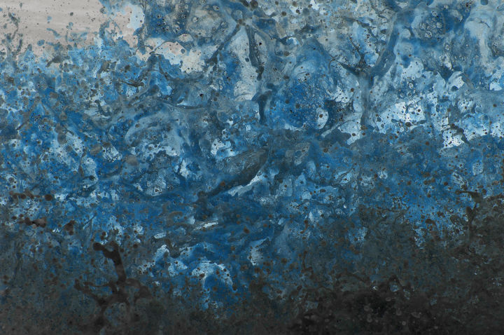 Fotografia intitolato "Pollock 1" da Laurence Gallien, Opera d'arte originale, Fotografia non manipolata