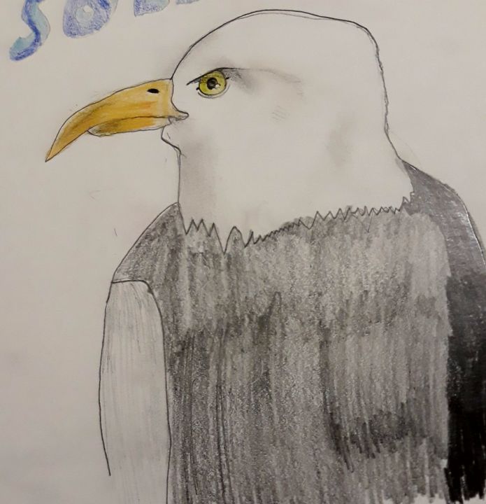 Drawing titled "Aigle" by Snow Guénard, Original Artwork, Pencil
