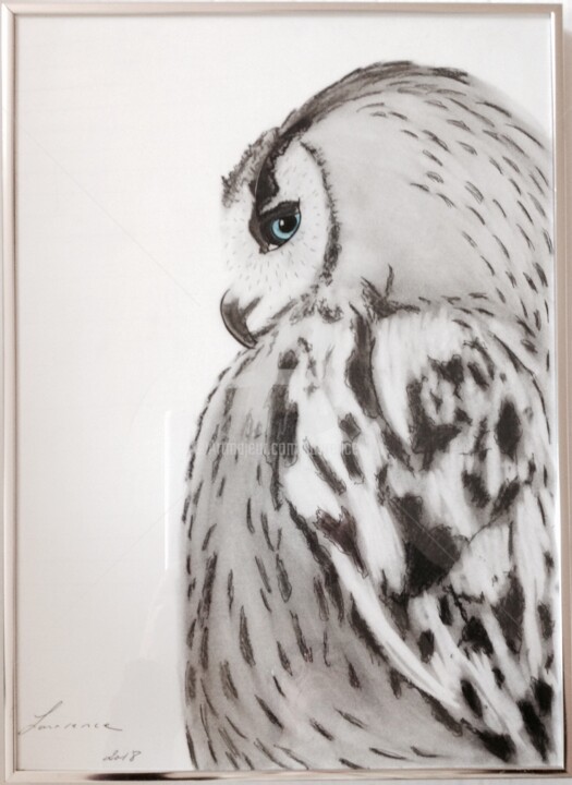 Drawing titled "LA CHOUETTE" by Laurence Lbn, Original Artwork, Charcoal Mounted on Glass