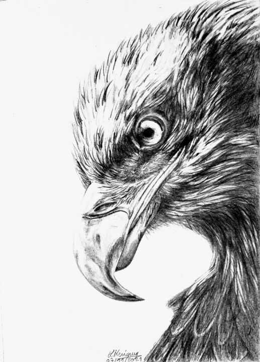 Dessin intitulée "Aigle" par Laurence Keriguy, Œuvre d'art originale, Crayon