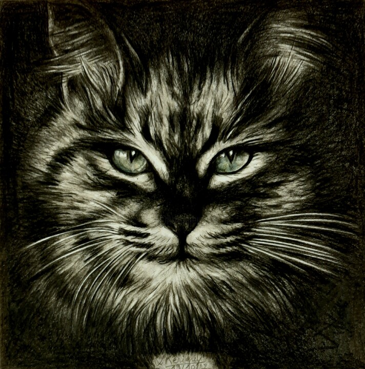 Dessin intitulée "Chat tigré" par Laurence Keriguy, Œuvre d'art originale, Crayon