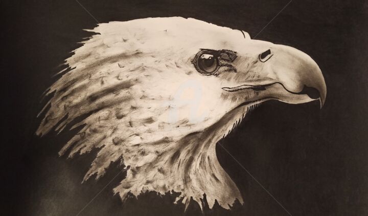 Painting titled "Rapace 3" by Laurent Chabrillat, Original Artwork, Charcoal