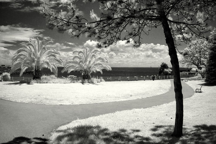 Photographie intitulée "img-0759-ir-bw-f32c…" par Infrared Art Photo, Œuvre d'art originale, Autre