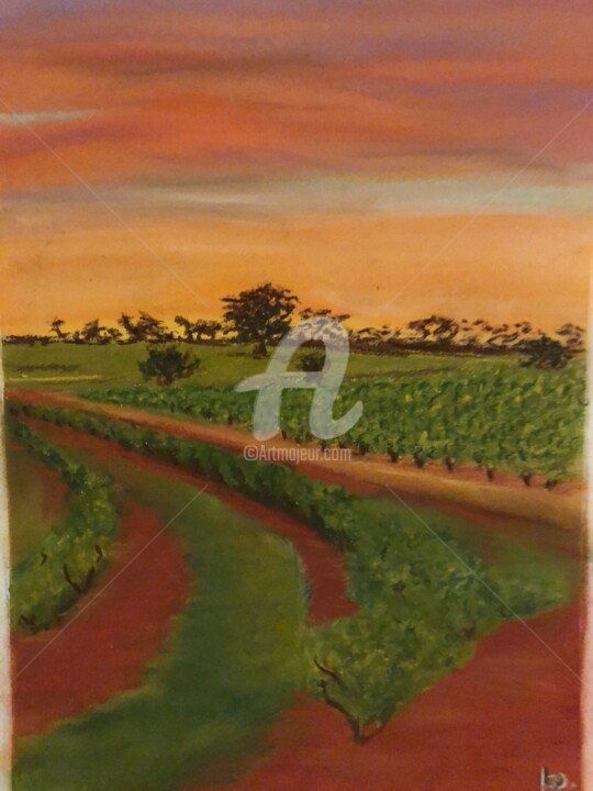 Peinture intitulée "South Australia val…" par Laurie Deneux, Œuvre d'art originale, Pastel