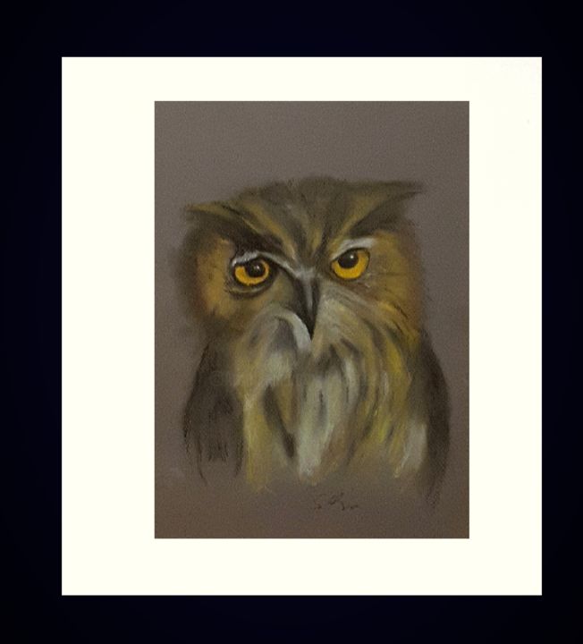 Zeichnungen mit dem Titel "Eule" von Sigrid Helmlinger, Original-Kunstwerk, Kreide