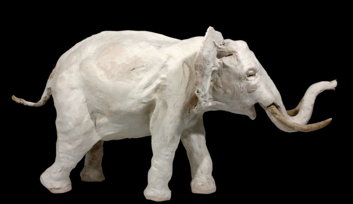 Sculpture titled "elephant" by Lawrence, Original Artwork, Other