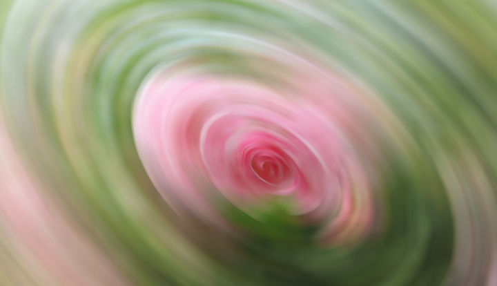 Photography titled "pink-rose-in-a-vort…" by Vesna Lazarevic, Original Artwork, Digital Photography