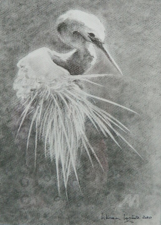 Drawing titled "Egreta in black and…" by Liliana Lazar, Original Art, Charcoal