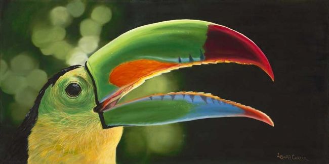 Painting titled ""Toucan" by: Laura…" by Laura Curtin, Original Artwork, Oil