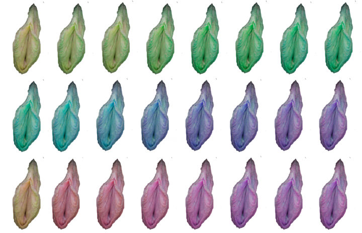 Arts numériques intitulée "#vulva-copie.jpg" par Leonor Loevi, Œuvre d'art originale
