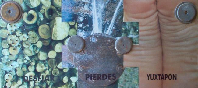 「PIERDES」というタイトルの写真撮影 Artista Plasticoによって, オリジナルのアートワーク