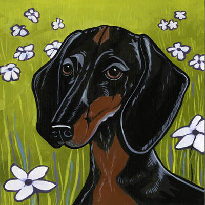 Painting titled "Dachshund" by Leanne Wilkes, Original Artwork, Oil