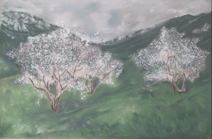 Drawing titled "almonds-in-bloom-on…" by Branka Mattenheim, Original Artwork, Other