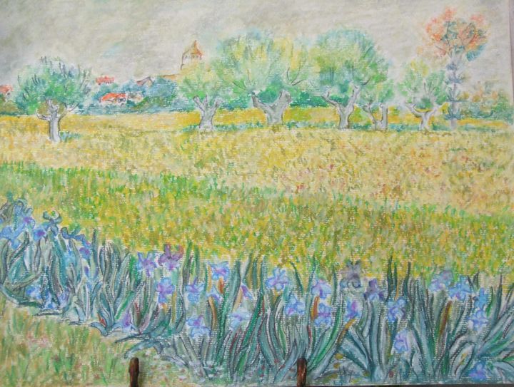 Drawing titled "Irises - Homage To…" by Branka Mattenheim, Original Art, Other