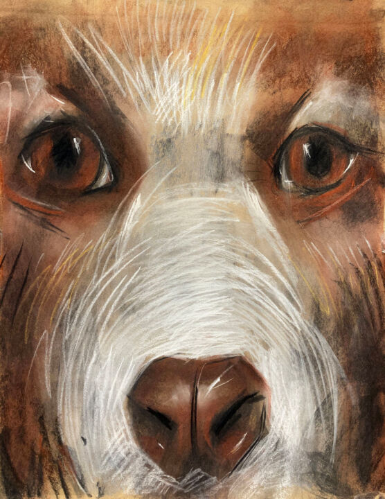 Tekening getiteld "Hund, Natur, Zeichn…" door Tius, Origineel Kunstwerk, Pastel