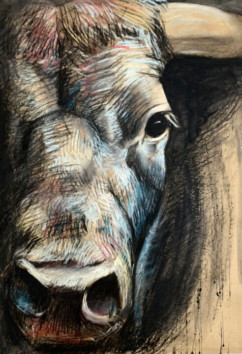 Drawing titled "Augenblicke, Stier,…" by Tius, Original Artwork, Pastel