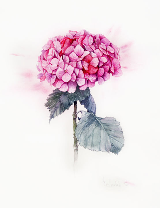 Painting titled "hydrangea-watercolo…" by S Lelyukh, Original Artwork, Watercolor