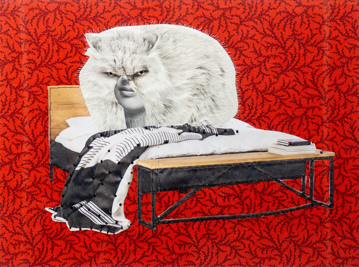 Collages titulada "Catton. Series "Sti…" por Lena Ash, Obra de arte original, Collages Montado en Cartulina