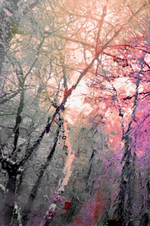 Photography titled "Winter Forest" by Lena Ru, Original Artwork, Non Manipulated Photography