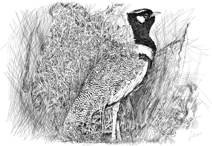 Dibujo titulada "beautifulbird.png" por Len, Obra de arte original, Fotografía digital