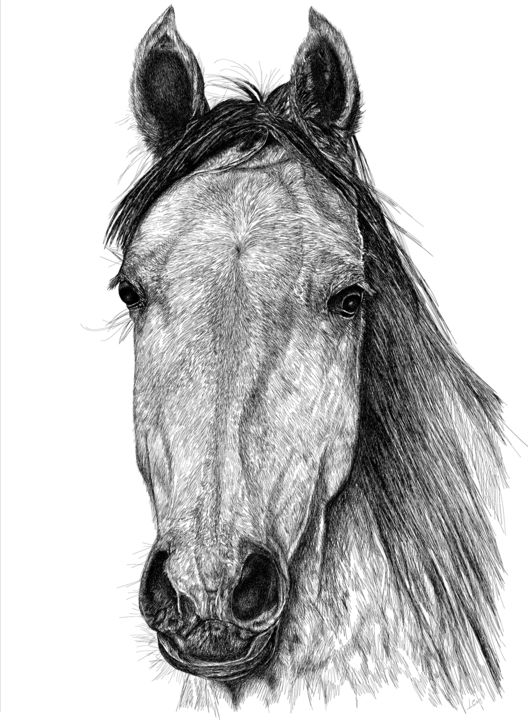 Peinture intitulée "horse.png" par Len, Œuvre d'art originale