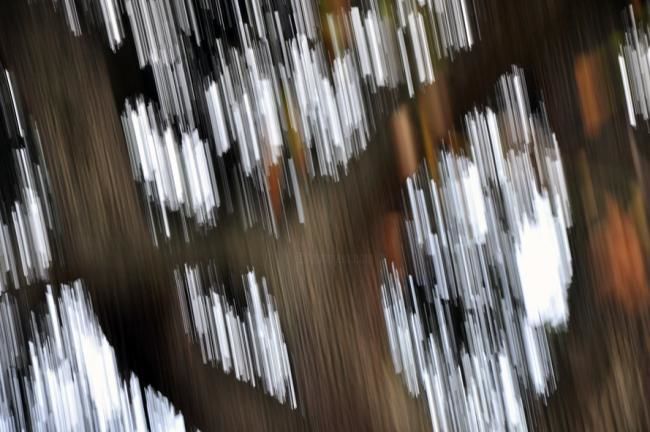 Digital Arts titled "SigNeRaTuRe" by Léon, Original Art,