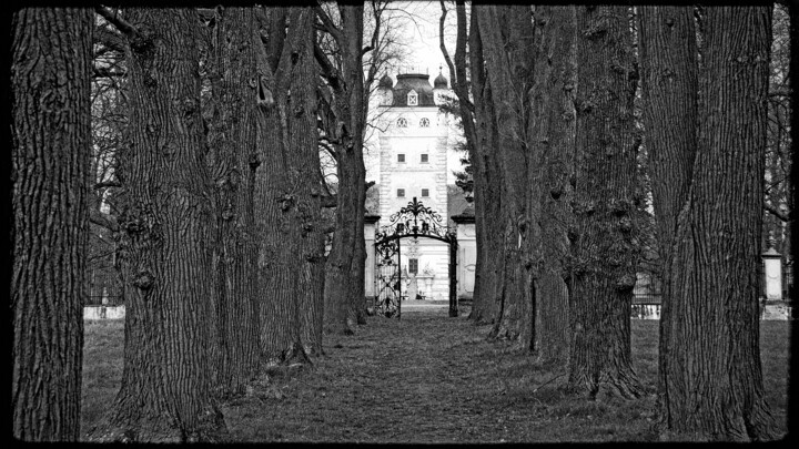 Fotografia intitolato "Der Schlosspark" da Leopold Brix, Opera d'arte originale, Fotografia digitale