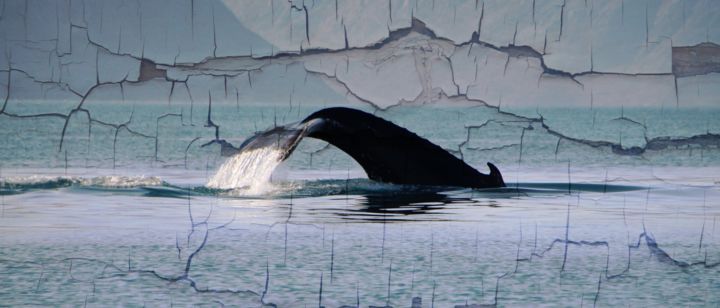 Photography titled "Humpback Whale" by Leo Tujak, Original Art, Manipulated Photography