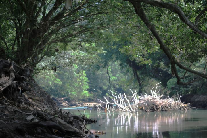 Photography titled "River View" by Leo Tujak, Original Artwork, Digital Photography