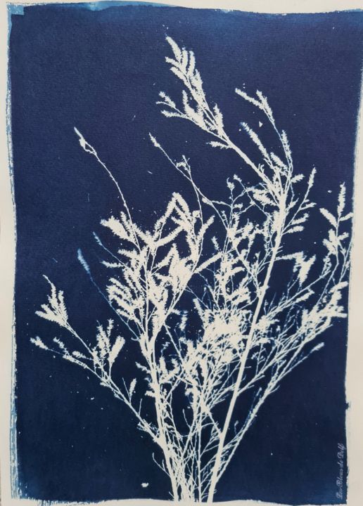 Fotografia zatytułowany „A l'ombre du Tamari…” autorstwa Delphine Debricon (Les Bleus de Delf), Oryginalna praca, Fotografia…