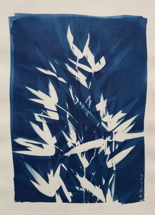 Fotografia zatytułowany „Délice du Panda - C…” autorstwa Delphine Debricon (Les Bleus de Delf), Oryginalna praca, Monotypia