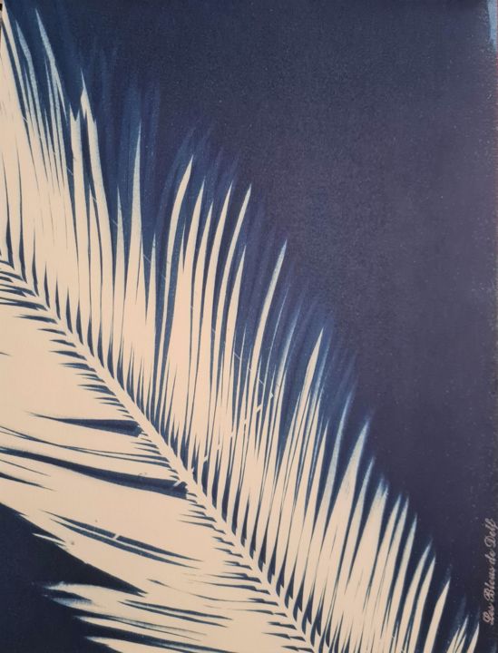 Fotografía titulada "Corps de Cycas - Cy…" por Delphine Debricon (Les Bleus de Delf), Obra de arte original, Fotografía no m…