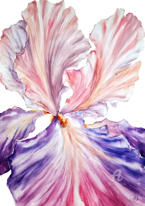 Painting titled "Iris flower" by Lidia Nureeva, Original Artwork, Watercolor