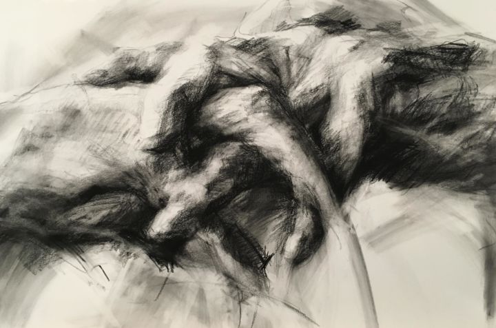 Drawing titled "holding.jpg" by Anne Hoover, Original Artwork, Charcoal