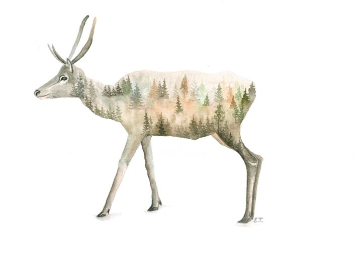 Painting titled ""Young deer."" by Ellen Teko Tereshchenko, Original Artwork, Watercolor