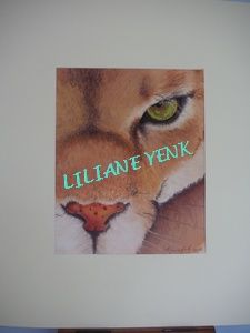 Peinture intitulée "Oeil de Puma" par Liliane Yenk, Œuvre d'art originale